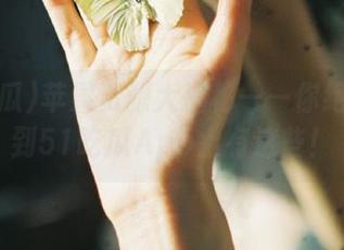 苹果资源大揭秘——你绝对没想到51吃瓜App上有这些！