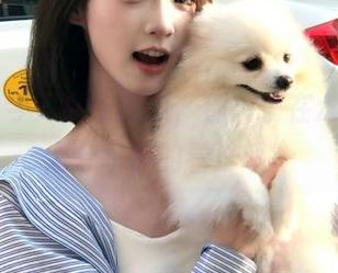 今天必吃的瓜，别忘了在zztt333上分享你的看法哦！