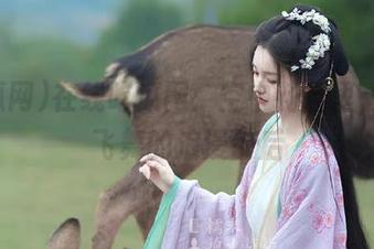 在线吃瓜网：空中花园里，瓜皮飞舞的浪漫午后