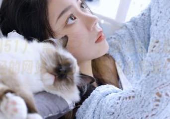 “黑料51”：你见过的最不正经的网站，连瓜都能吃出花来！