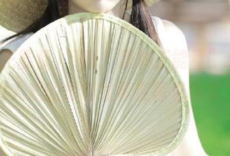 下载“黑料正能量”后，不为人知的爆料故事在等着你哦！