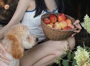 每天都在刷这个黑料网页，感觉人生又有新滋味！